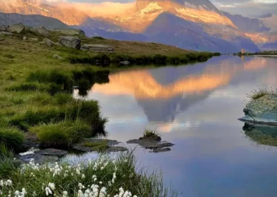 Stellisee reflection of the Matterhorn sunrise with flowers