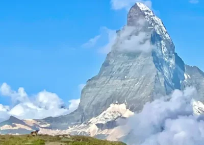 Marmot in front of the Matterhorn